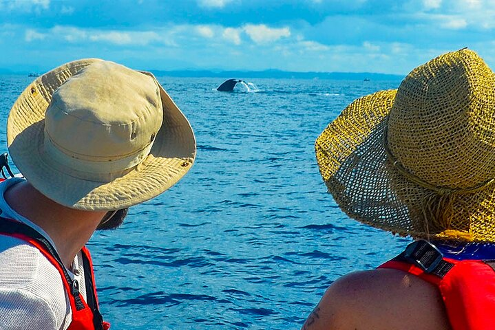 Whale Watching from Ahungalla on Shared Boat - Photo 1 of 7
